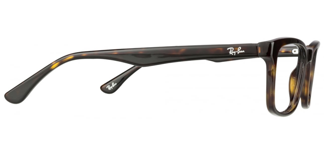 ray ban 5279 tortoise