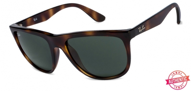 Ray-Ban RB4251