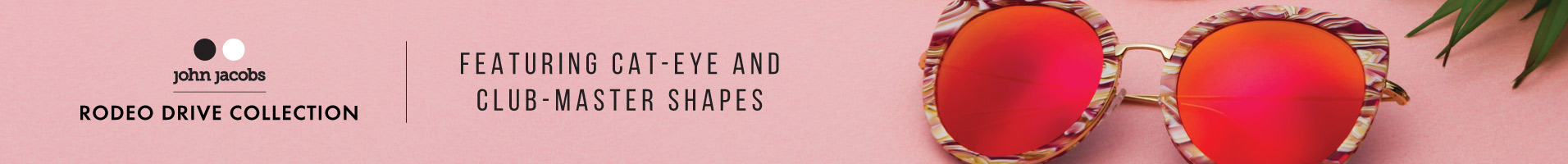 offer banner in header